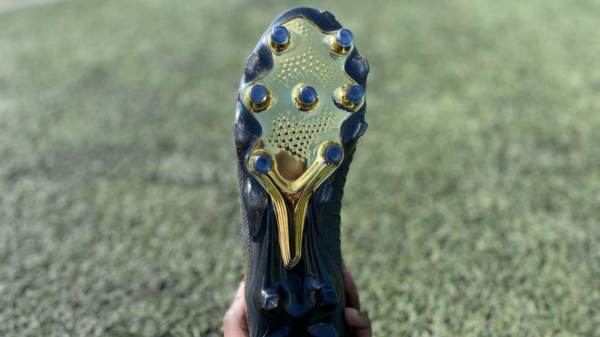 他的加入將 他的加入將